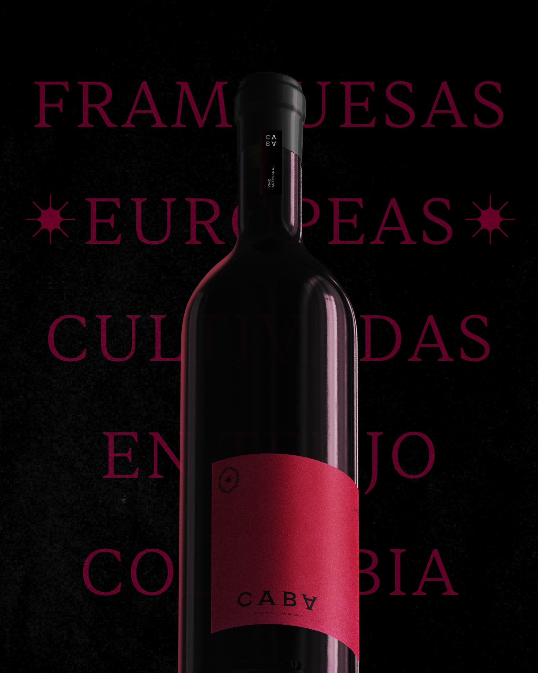 CABA visual identity — editorial