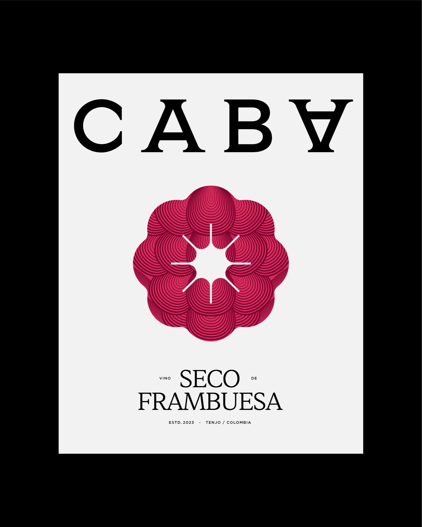 CABA visual identity — poster
