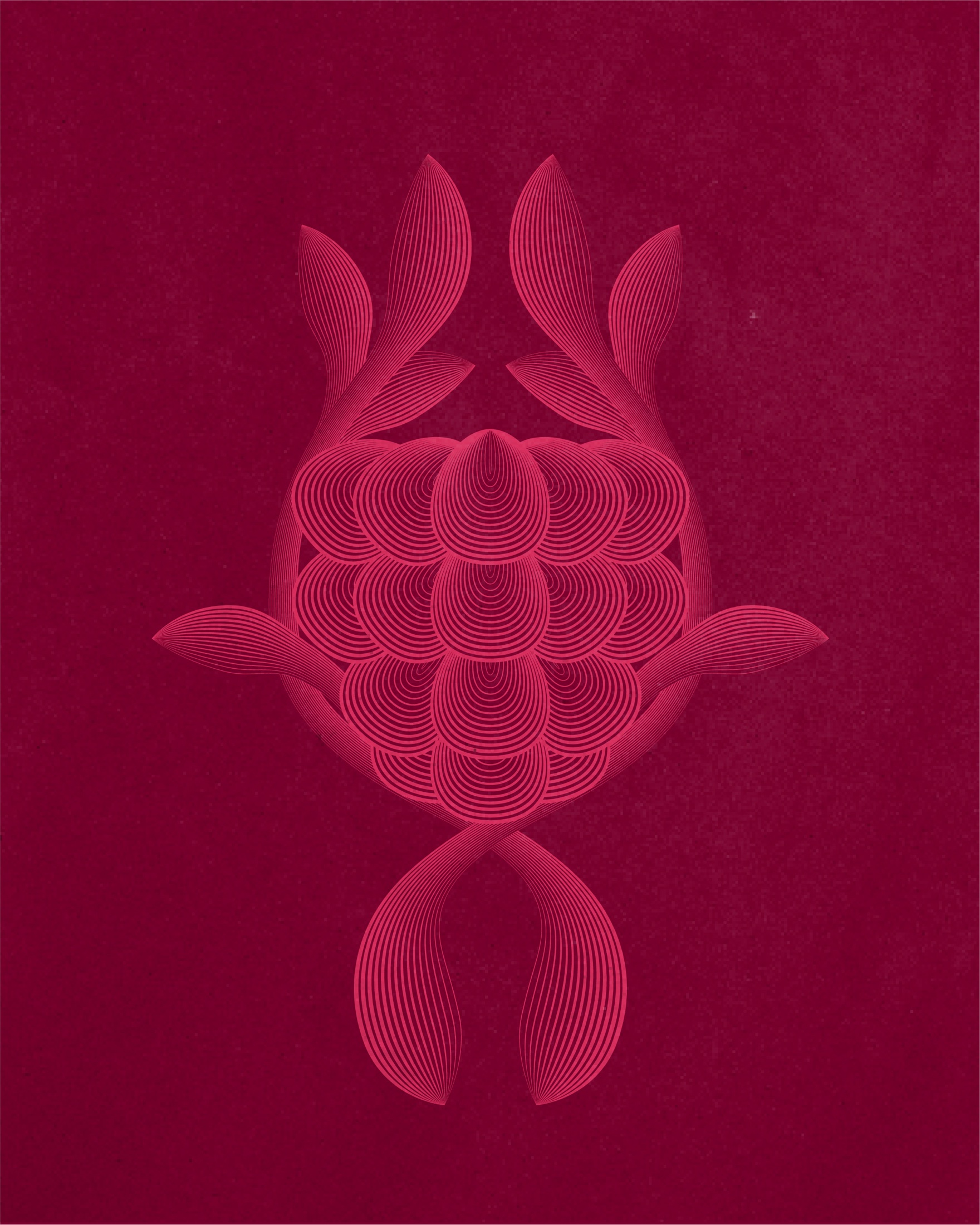 CABA visual identity — botanical illustration